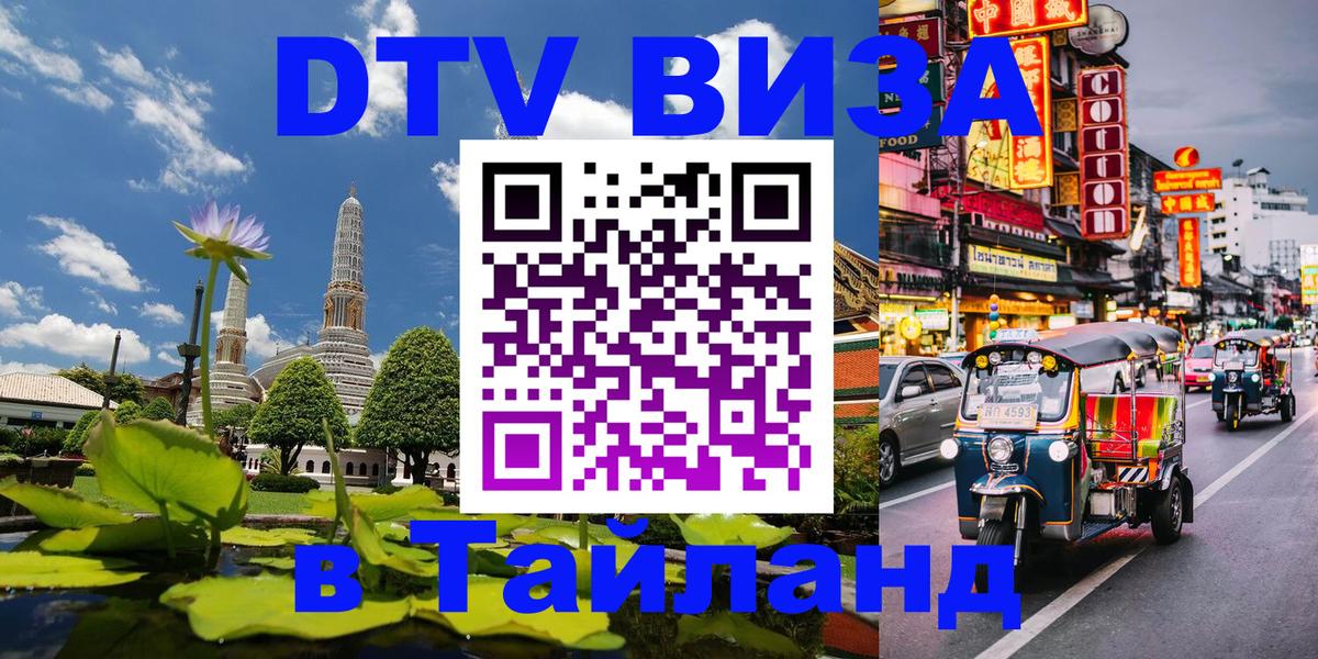 Оформление DTV визы под ключ: стоимость и тарифы, только загранпаспорт - Йошкар-Ола 